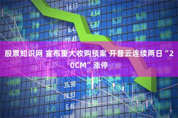 股票知识网 宣布重大收购预案 开普云连续两日“20CM”涨停