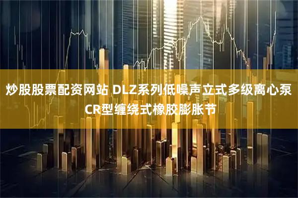 炒股股票配资网站 DLZ系列低噪声立式多级离心泵 CR型缠绕式橡胶膨胀节