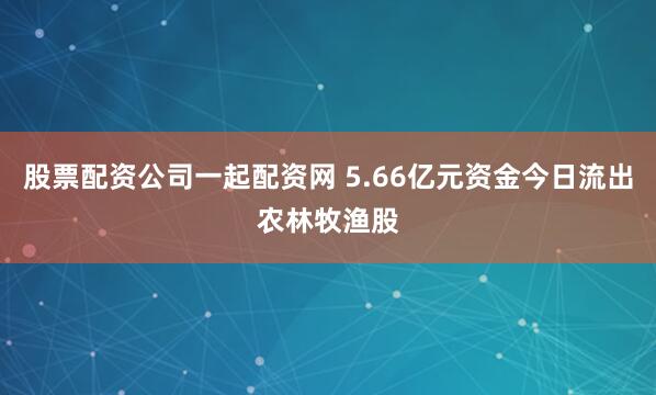股票配资公司一起配资网 5.66亿元资金今日流出农林牧渔股